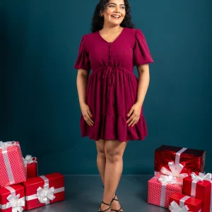 Festive Elegance Flare Dress